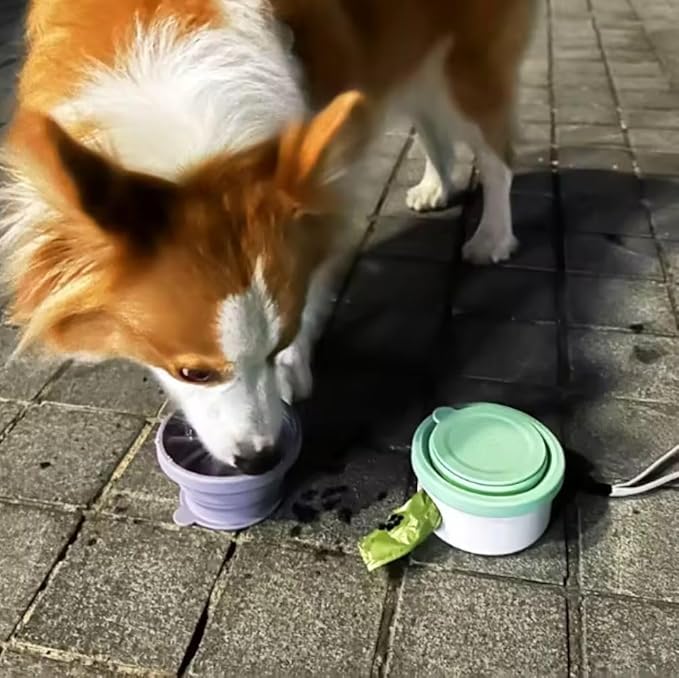 3 in 1 Collapsible Dog Bowl. Treat Container, Poop Bag Holder with 1 Roll Poop Bags – Practical Silicone Dog Bowl – Durable Pet Bowls for Travel Essentials, Daily Walks (Violet)