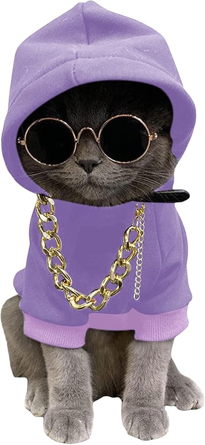 QWINEE 3Pcs Dog Hoodie Cat Apparel Dog Custume Set with Necklace and Sunglasses Pet Clothes for Puppy Small Medium Dogs Cats Mauve Purple X-Small