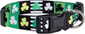 Native Pup St Patricks Dog Collar- Saint Patrick Green Shamrock Pet Collars- St. Patrick’s Lucky Irish- Cute Boy Girl Puppy Gift- Adjustable for Small, Medium, Large Breeds (Patterned Shamrock, Small)