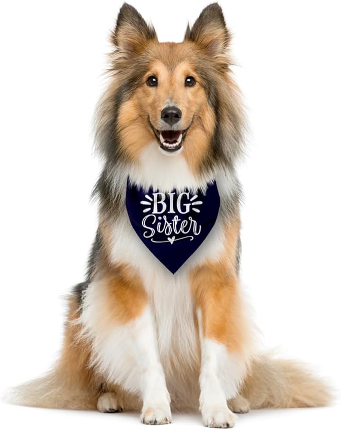 Big Sister Dog Bandanas, Dark Blue Dog Bandana, Pet Triangle Scarf Accessories, Pet Bandanas for Small Medium Large Dogs, Baby Announcement Dogs Bandana (M)