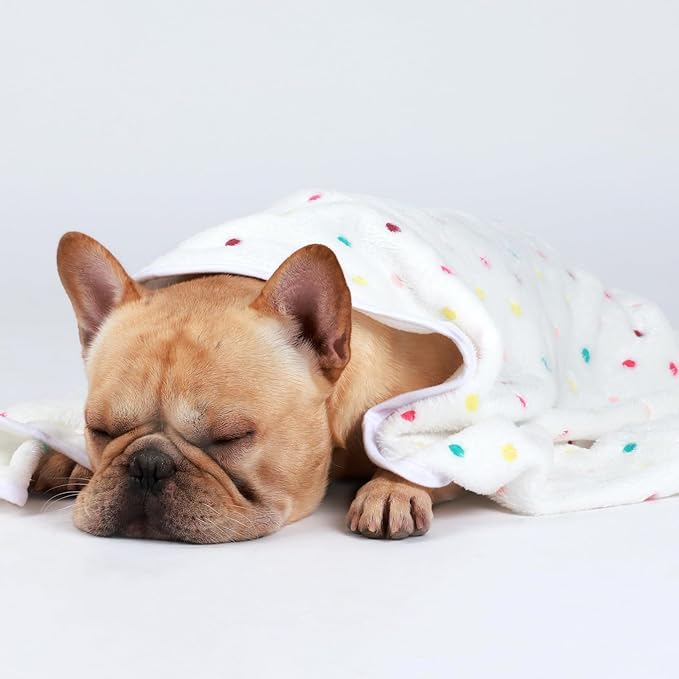 Luciphia 1 Pack 3 Blankets Super Soft Cute Dot Pattern Pet Blanket Flannel Throw for Dog Puppy Cat Medium(30x20), Brown