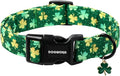 DOGWONG St Patrick's Day Dog Collar-Cute Green Clovers Dog Collars, Adjustable Shamrock Pet Collars Trefoil Puppy Collars with Quick Release Buckle for Girl&Boy Dogs,M