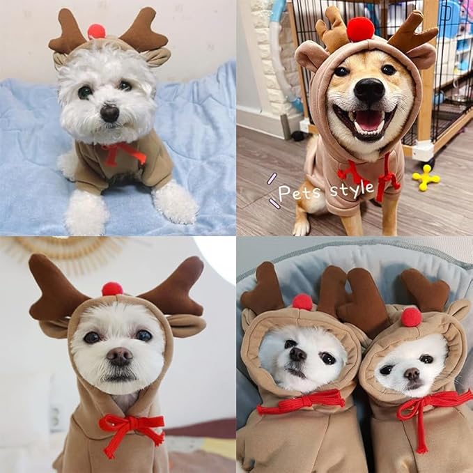 Warm Dog Winter Clothes Cute Fruit Dog Coat Hoodies Fleece Pet Dogs Costume Jacket for French Bulldog Chihuahua Ropa para Perro(Coffee,XL)
