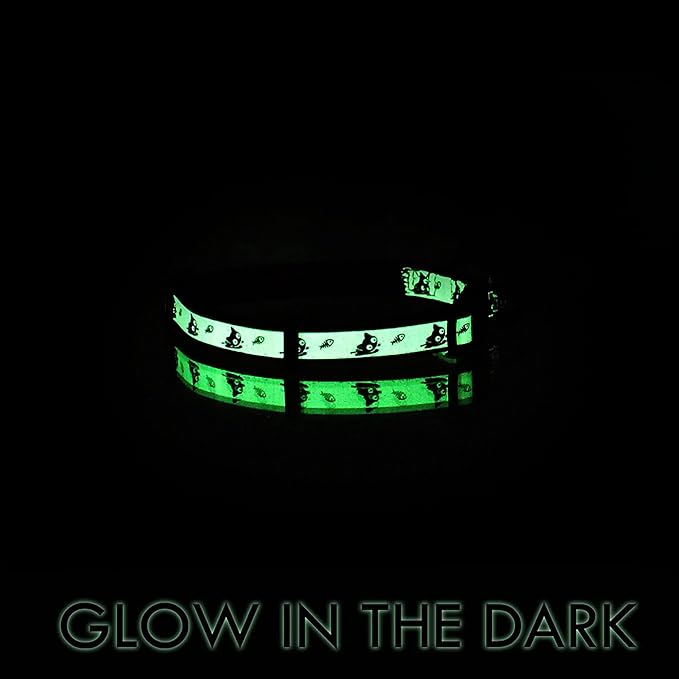 Pawtitas Glow in The Dark Cat Collar with Breakaway Safety Buckle & Bell Adjustable Kitten Collar, Orange