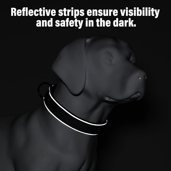 Plutus Pet Tactical Dog Collar, Reflective, Adjustable Heavy Duty Dog Collar, Soft Padded and Comfortable, for Small Medium and Large Dogs (Teal, S)