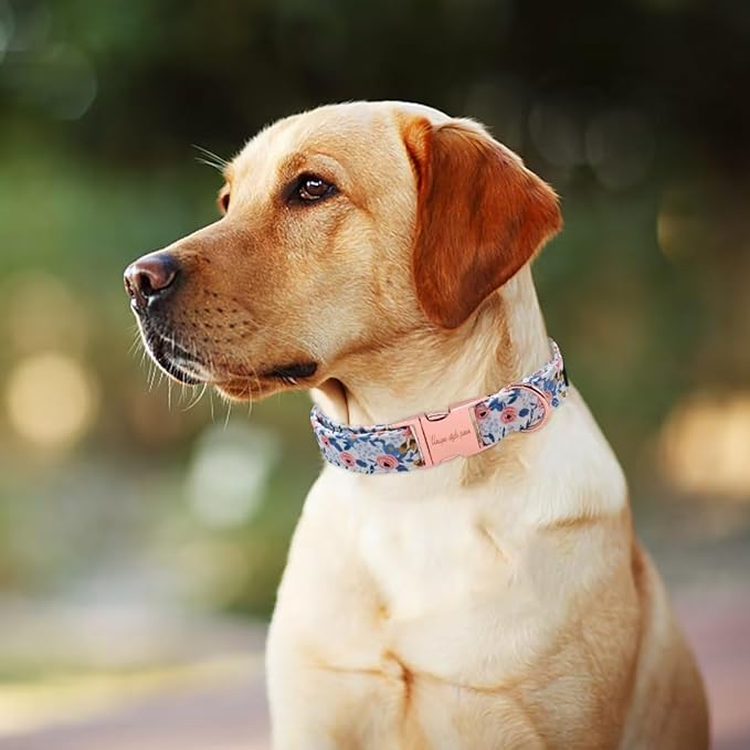 Unique Style Paws Metal Buckle Rose Collar - Durable & Cute for Small to Large Dogs