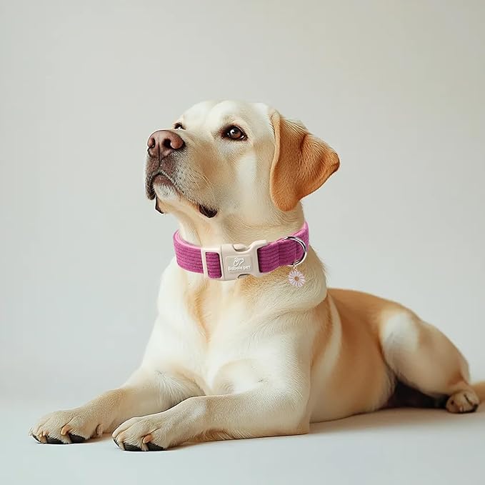 Cute Corduroy Dog Collar - Fuchsia Adjustable Dog Collars for Large Dogs 50-80lbs, Fade-Proof with Secure Snap & Little Charm, Christmas Birthday Gift, L