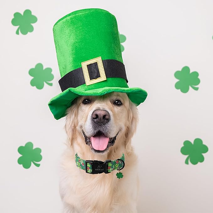 St Patricks Day Dog Collar for Large Dogs - Lucky Flower Shamrock Green Dog Collars, Cute Irish Clover Puppy Collar with Quick Release Buckle for Girls&Boys Dogs L