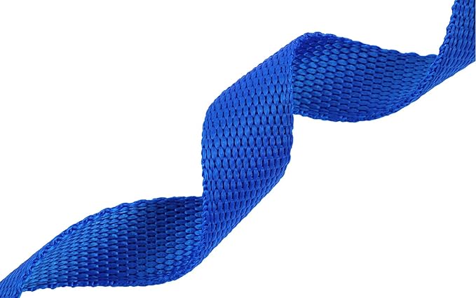 AmaGood Dog/Puppy Obedience Recall Training Agility Lead-15 ft 20 ft 30 ft 50 ft Long Leash-for Dog Training,Tie Out,Play,Safety,Camping (20 feet, Blue)