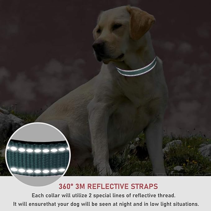 Reflective Dog Collar with Buckle Adjustable Safety Nylon Collars for Small Medium Large Dogs, Grey L