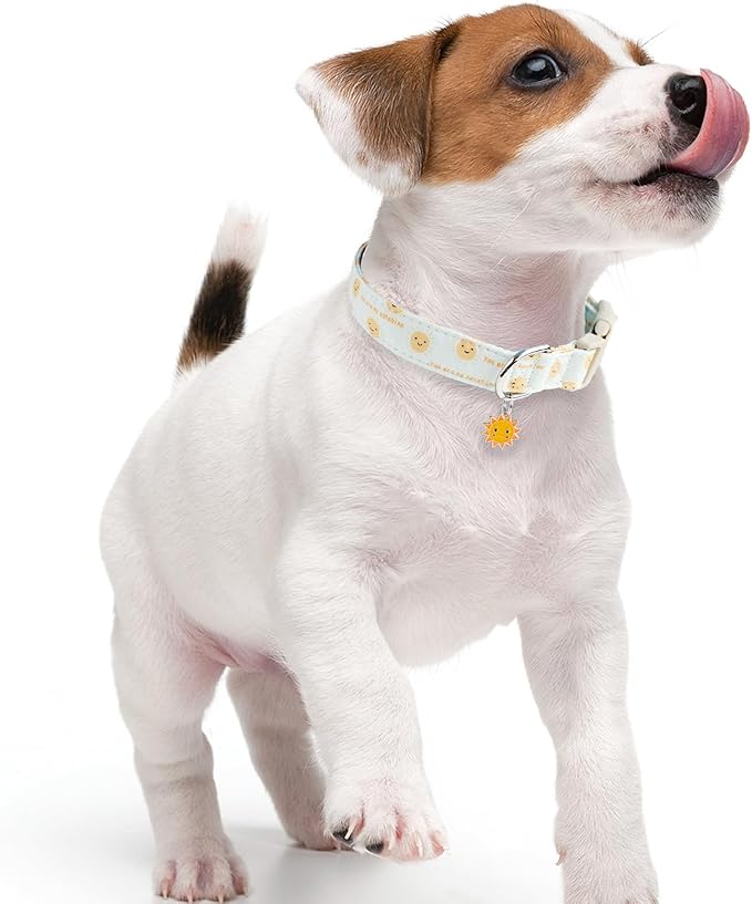 Faygarsle Sunshine Pattern Dog Collar, Adjustable Cotton Fabric, Cute Design for Small Medium Large Dogs L