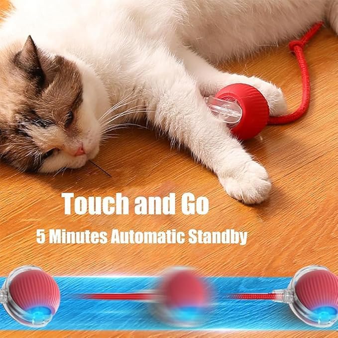 2025 New Electric Dog Ball Toy,360° Smart Automatic Interactive Rolling Ball, Smart Pet Toy,Interactive Dog Toys,Gift for Kids（Blue）
