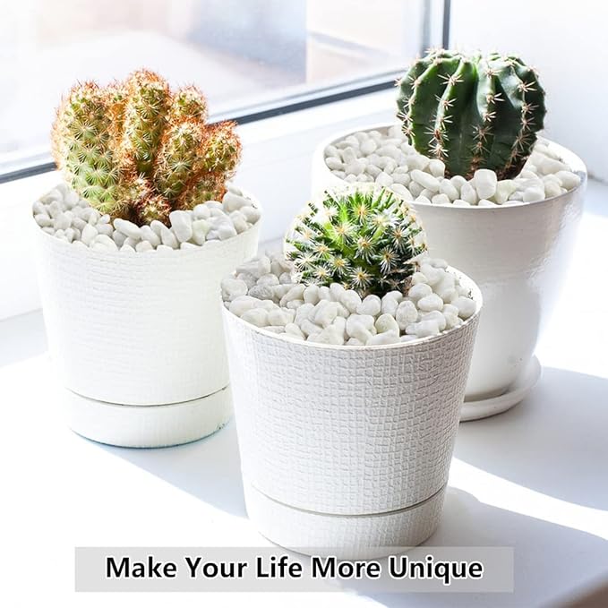 10LB Succulent and Cactus Gravel, 1/5 Inch White Natural Decorative Polished Pebbles for Landscaping, River Rocks for Plants, Vases, Aquariums, Terrarium and Outdoor Gardening