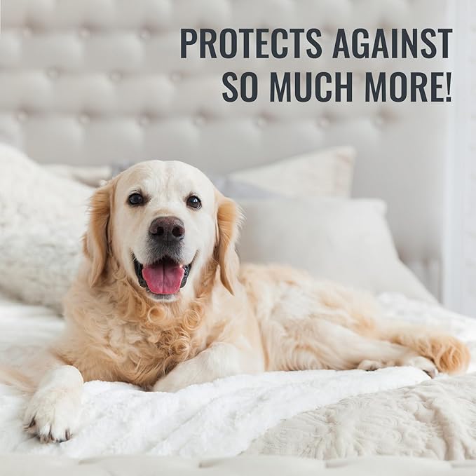 DMI Waterproof Mattress Protector and Mattress Cover, Encased Zippered Fit, Full, Packaging may vary