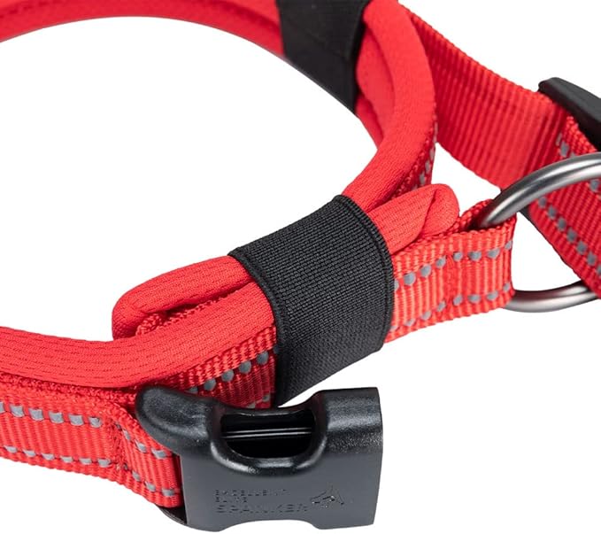 EXCELLENT ELITE SPANKER Reflective Dog Collar Classic Soft Padded Breathable Nylon Adjustable Pet Collar with Quick Release Buckle for Boy Girl Male Female Small Medium Large Dogs Training(Red-M)