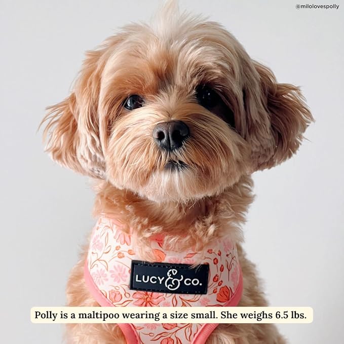 Lucy & Co. Cute Reversible Dog Harness Walking Halter - Best Designer Pet Harnesses for XS - XL Dogs - Padded Adjustable Vest for Easy Walking-Medium-Peach Pink Floral Plaid