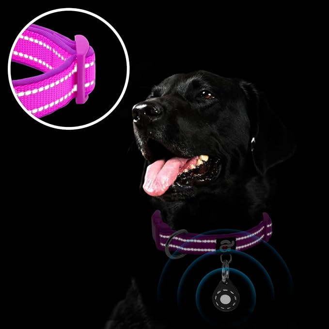 azuza Reflective Dog Collar with Airtag Holder, Soft Neoprene Padded Pet Collar with ID Tag Ring, Adjustable for Large Dogs,Purple,L