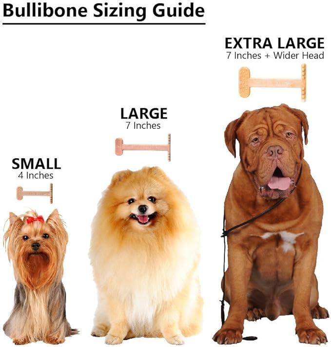 Bullibone Nylon Dog Chew Toy for Aggressive Chewers - Dental Hygiene Bone with Beef Flavor, Durable Tough Chew Toys for Large Dogs, Indestructible Dog Bone - Single