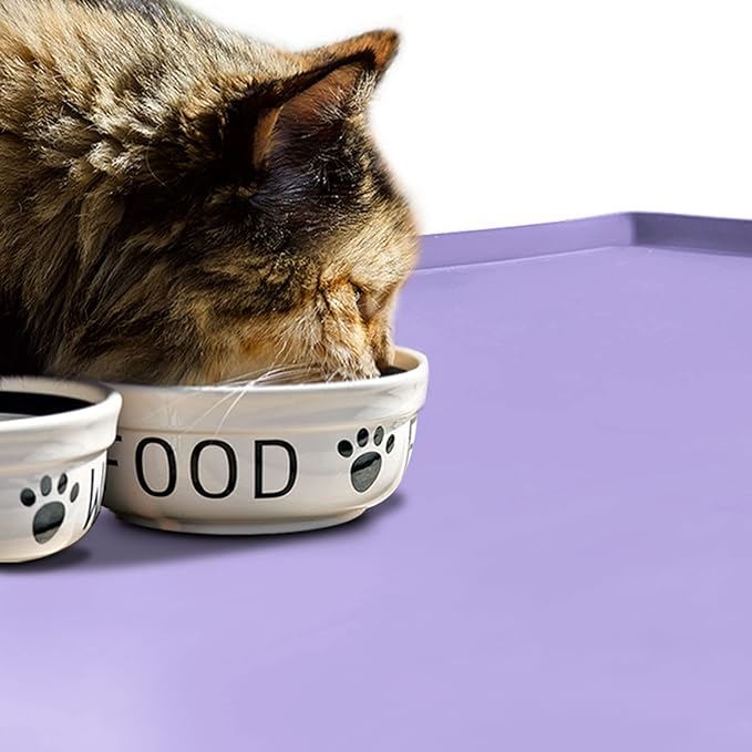 Dog Food Mat,Silicone Waterproof Food Tray,Non Slip Pet Bowl Mats Placemat,0.8" Raised Edge,Suitable for Most Small and Medium Sized Pets,28" x 18"