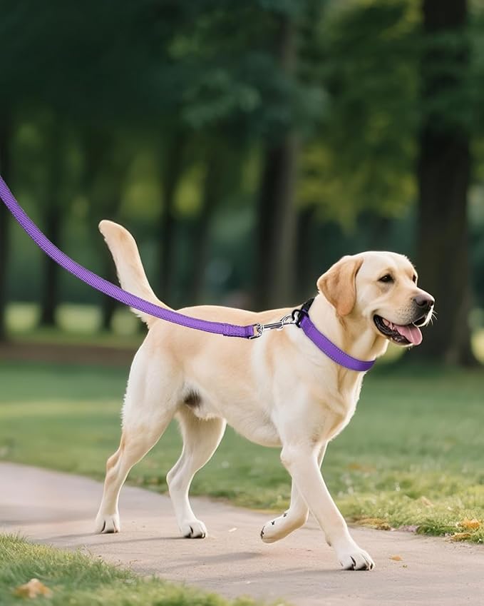 Joytale Large Dog Collar, Reflective and Adjustable Nylon Pet Collar with Quick-Release Buckle for Large Dogs, Purple, L