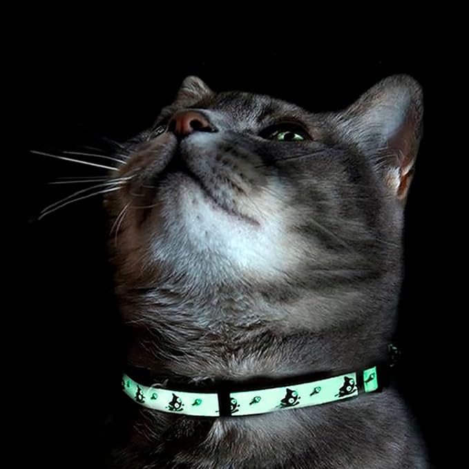 Pawtitas Glow in The Dark Cat Collar with Breakaway Safety Buckle & Bell Adjustable Kitten Collar, Purple