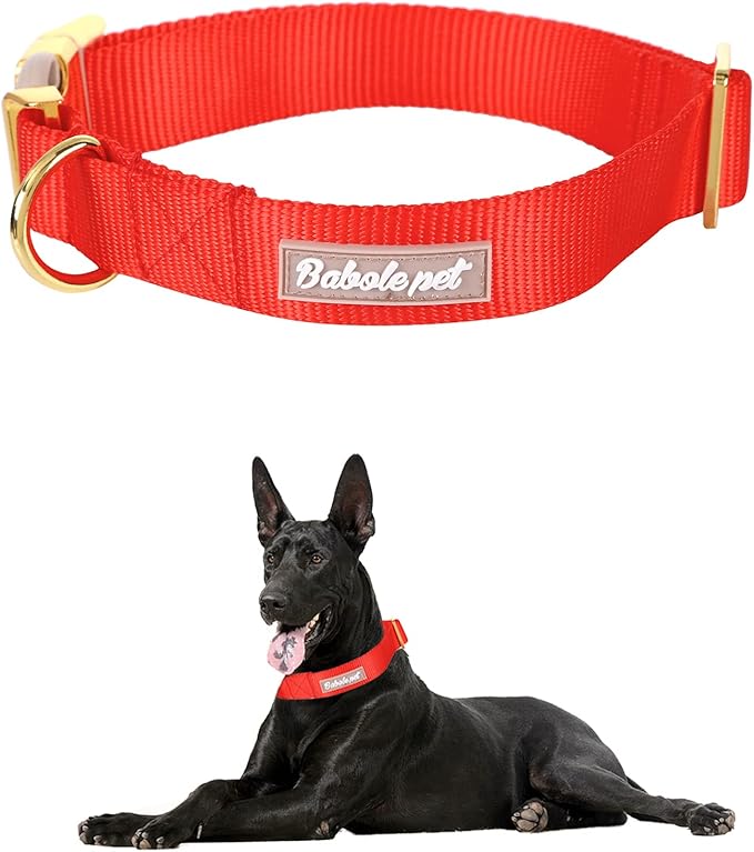 Nylon Dog Collar - Adjustable Red Soft Webbing Dog Collars for Small Medium Large Dogs Boy Girl Puppy Collar with Safety Metal Buckle M