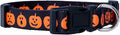 Native Pup Halloween Dog Collar- Spooky Fall Themed Horror Costume Collars- Skull, Pumpkin, Ghost, Bat, Witch, Candy Corn, Spider- Adjustable for Small, Medium, Large Breeds (Small, Big Pumpkins)