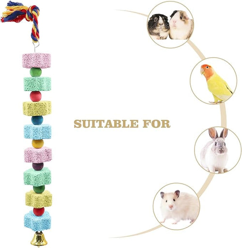 2 Pack Bird Chewing Toy, Colorful Parrot Beak Grinding Calcium Stone with Bells, Cage Accessories for Cockatiels Parakeets Parrots Budgies Lovebirds Rat Hamster Chinchilla Rabbit Bunny African Grey