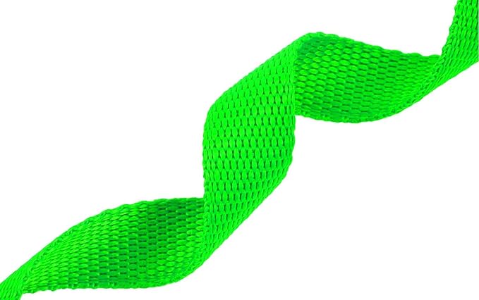 AmaGood Dog/Puppy Obedience Recall Training Agility Lead-15 ft 20 ft 30 ft 50 ft Long Leash-for Dog Training,Recall,Play,Safety,Camping (30feet, Green)