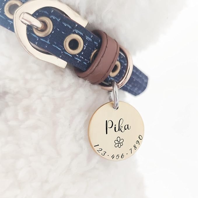 Cats Dogs ID Tags Personalized Lovely Symbols Pets Collar Name Accessories Simple Custom Engraved Products for Medium Four Legged Child Necklace Chain Anti-Lost Shiny Stainless Steel 316L Charm