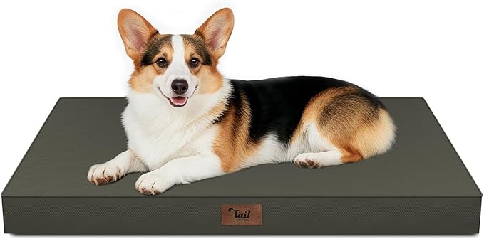 Outdoor Waterproof Dog Bed, Big Dog Bed for Large Size Dogs, Orthopedic Egg Crate Foam Pet Bed with Washable Removable Oxford Cover, 36x27 Inch, Brown