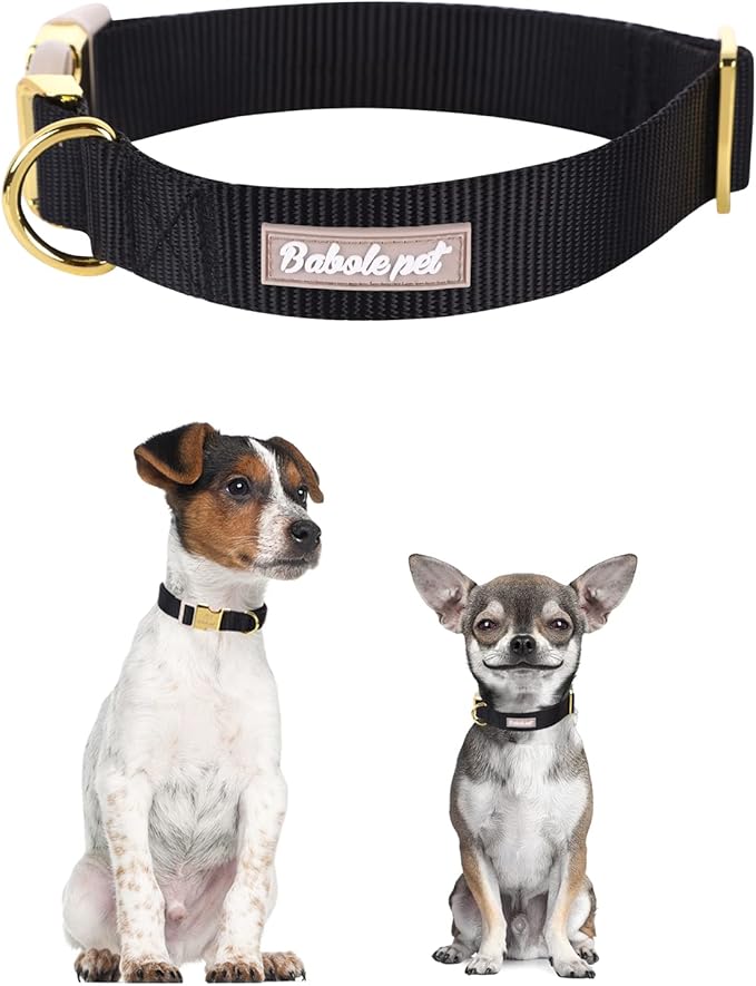 Nylon Dog Collar - Adjustable Black Soft Webbing Dog Collars for Small Medium Large Dogs Boy Girl Puppy Collar with Safety Metal Buckle XS