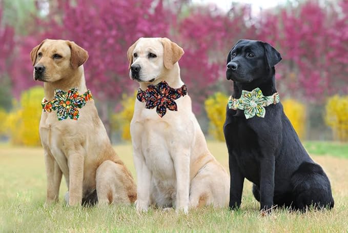 Lionheart Glory Cute Lemon Floral Pattern Adjustable Dog Collar for X-Large Dogs