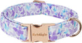 Elegant Butterfly Dog Collar, Purple Blue Gradient Design Collars for Dogs, Adjustable Comfortable for Small Medium Large Dogs, Handmade Cotton Puppy Collar for Daily Walks 、Park Adventures-L