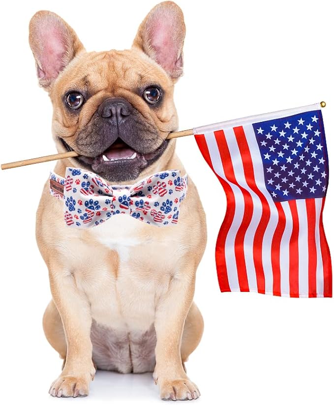 Lionheart Glory American Flag Dog Collar - 4th of July Collar with Adjustable Bow for Small Dogs