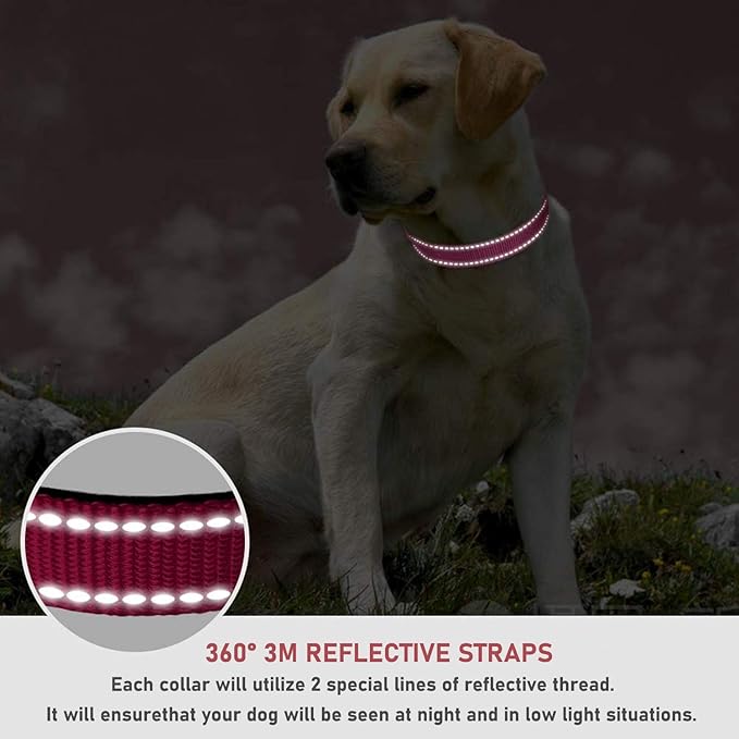 Reflective Dog Collar with Buckle Adjustable Safety Nylon Collars for Small Medium Large Dogs, Pink S