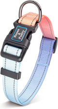 Roses&Poetry Reflective Dog Collar with Gradient Azure, Adjustable Durable Pet Collars for Small Medium Large Dogs (Azure-S)