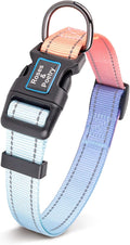 Roses&Poetry Reflective Dog Collar with Gradient Azure, Adjustable Durable Pet Collars for Small Medium Large Dogs (Azure-XS)