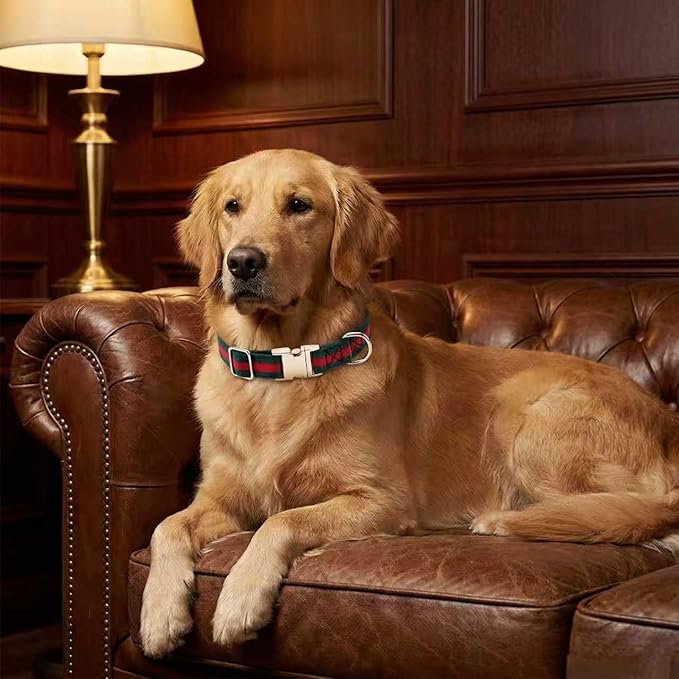 Premium Dog Collar, Cute Dog Collars Luxury Style, Durable Pet Collars with Metal Buckle Safety for Puppy Small Dogs