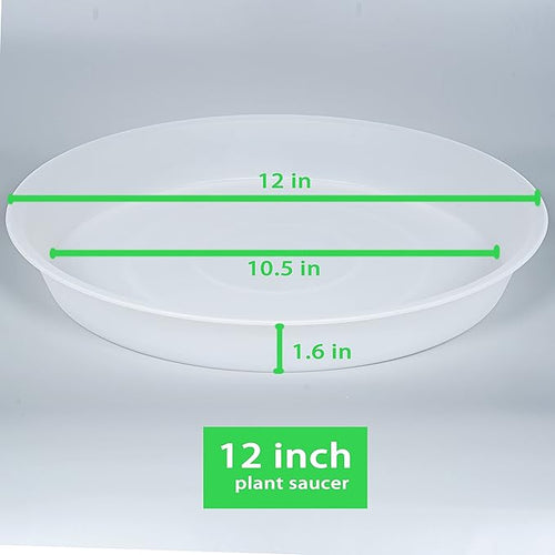 6 Pack of 12 inch Plant Saucer Clear, Heavy Duty Plastic Plant Saucer 12 inch Round, Durable Plant Tray for Pots, Plant Saucers for Indoors, Plant Trays for Planter 10"/11"/12" (12", Clear)