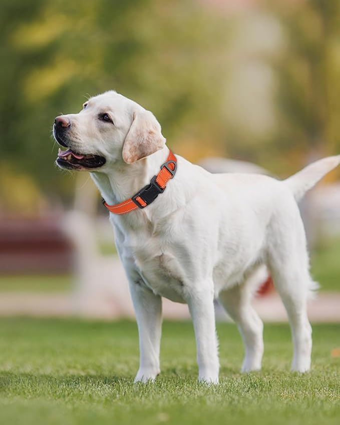 Joytale Large Dog Collar, Reflective and Adjustable Nylon Pet Collar with Quick-Release Buckle for Large Dogs, Orange, L