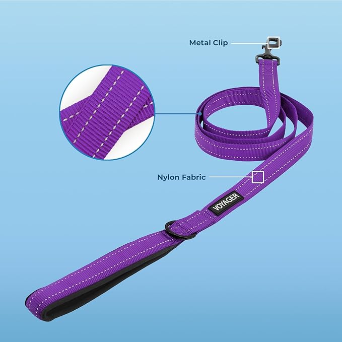 Best Pet Supplies Voyager Reflective Dog Leash or Collar with Neoprene Handle, for Small, Medium, and Large Breed Puppies, Cute and Heavy Duty for Walking, Running and Training - Purple (Leash), L