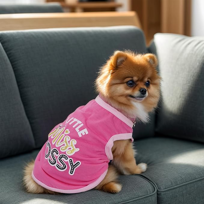 4 Pack Dog Shirts Summer Printed Puppy Clothes Cute Sleeveless Pet T Shirts Dog Clothes for Small Medium Dogs Cats Girl(L)
