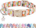 Faygarsle Colorful Floral Dog Collar, Cotton Fabric with Daisy Pattern, Multi-Color Stripes Spring Summer Design for Small Medium Large Dogs XS