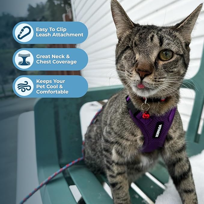 Voyager Escape-Proof Step-in Lock Cat Harness & 5ft Neoprene-Handle Leash Set All-Weather Mesh with Reflective Stitching for Small to Large Cats by Best Pet Supplies, Purple, XXXS
