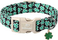 St Patricks Day Dog Collar for Large Dogs - Green Lucky Shamrock Boy Dog Collars, Irish Clover Pattern Black Male Puppy Collar with Quick Release Buckle L