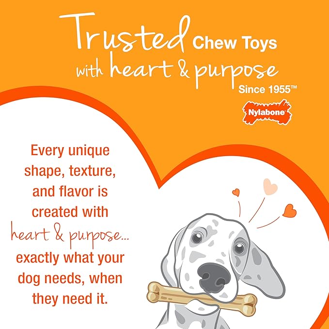 Nylabone Original & Textured Bone Power Chew Toy for Dogs, Durable & Tough Dog Toys for Aggressive Chewers, Basted Blast Bacon and Steak Flavor, X-Small Dogs - Up to 15 lbs, 2 Pack