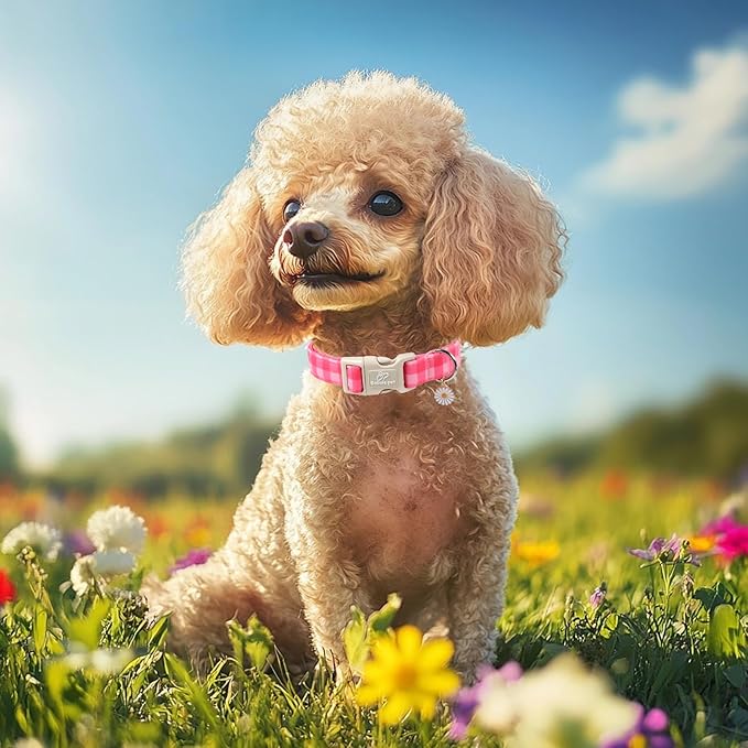 Girl Dog Collar for Puppy Small Dogs - Cute Pink Plaid Puppy Collar, Soft Adjustable Spring Summer Female Dog Collars with Quick Release Buckle XS