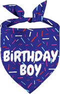 Birthday Boy Dog Bandanas 1 Pack, Blue Birthday Dog Scarfs for Boys, Pet Scarves for Boy HBD Bandanas for Small Medium Large Dogs (Birthday Boy, One Size)