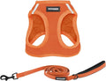 Best Pet Supplies Voyager Step-in Air All Weather Mesh Harness and Reflective Dog 5 ft Leash Combo with Neoprene Handle, for Small, Medium and Large Breed Puppies - Set (Orange), S